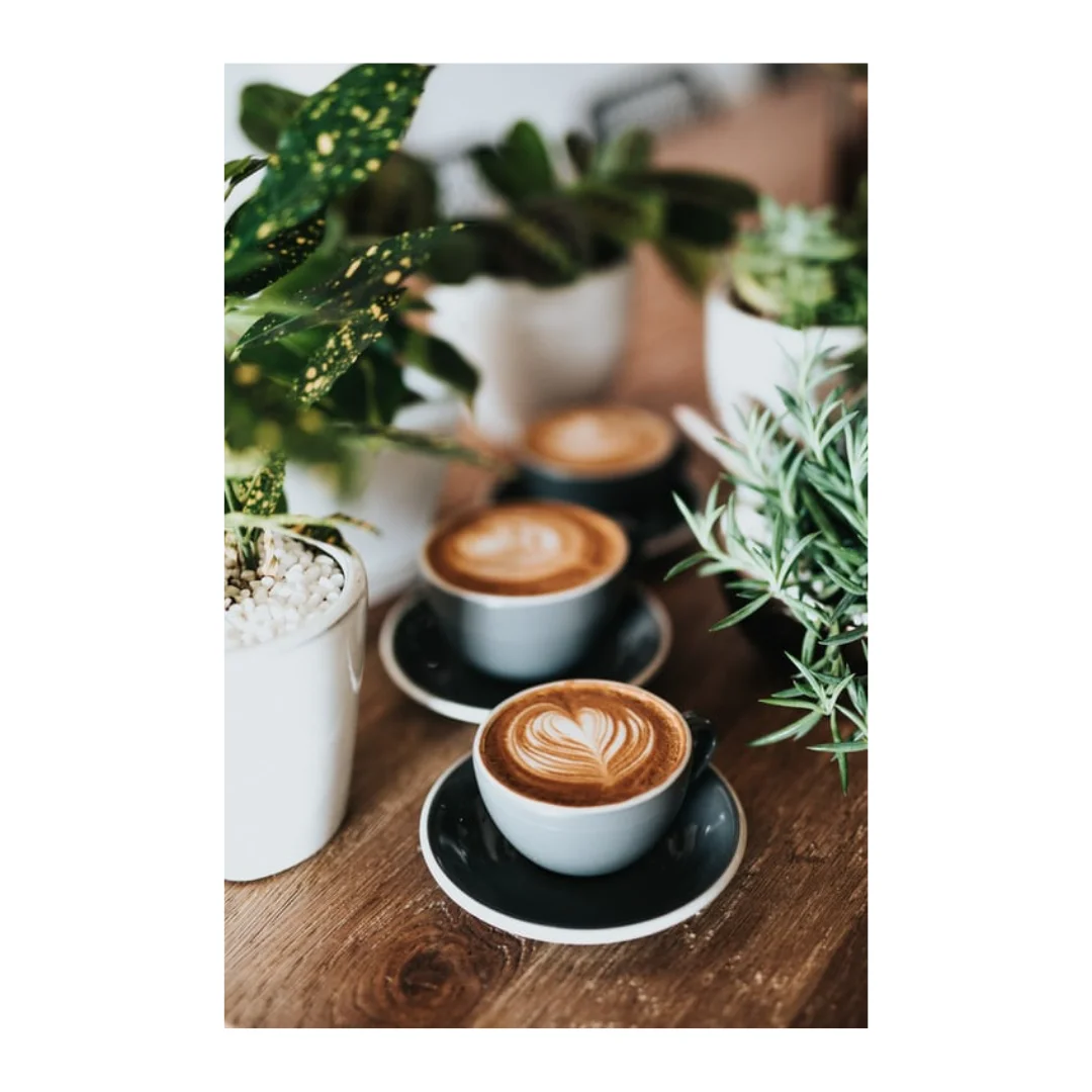 LMC Taiwan Supplier Espresso 100% Arabica Coffee Beans Specialty Coffee Beans