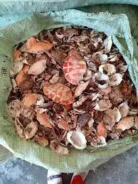 DRIED RAW MATERIAL WHOLESALE CRAB SHELL/ SHRIMP SHELL TO MAKE CHITIN CHITOSAN FOOD GRADE FROM VIET NAM