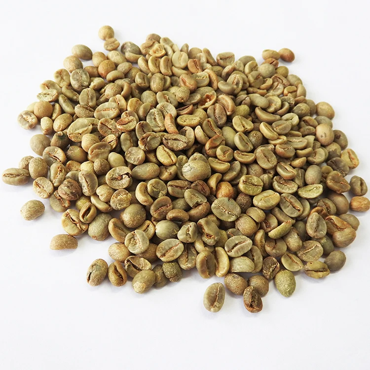High Quality Worldwide Shipping Bag Dry Natural Sorted (CU16BM) Culi Green Coffee Beans
