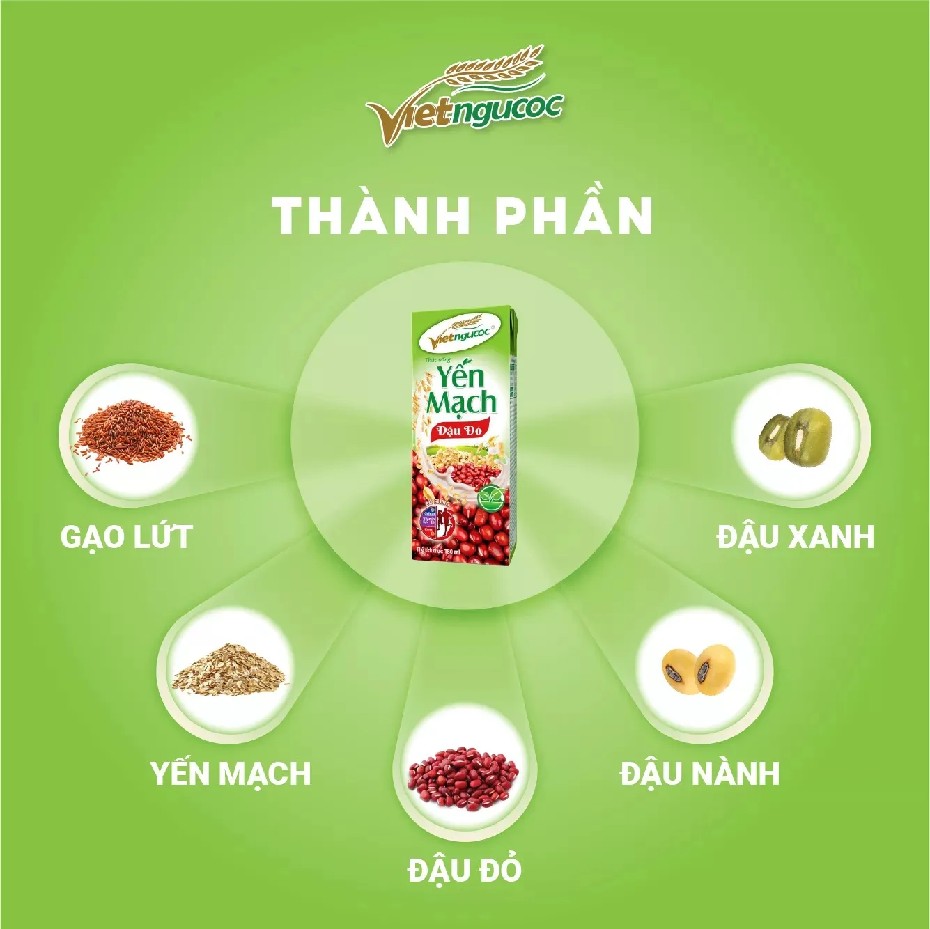 Viet Cereal Oats and Red Beans Milk  Healthy Fresh Nutritious Style from Vietnam Factory Cheap Price