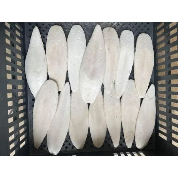 Dried Cuttlefish Bone Stock ready for Serious Buyers.
