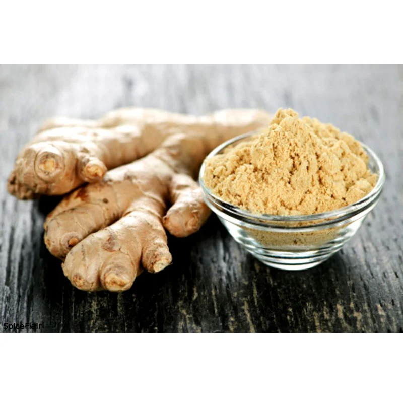 Made In India Dehydrated Vegetable Ginger Extract Powder In 1 Kg Packaging Use For Cooking