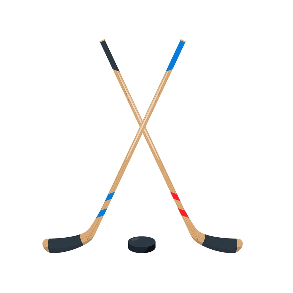 Professional Hockey Games Grass Use Field Hockey