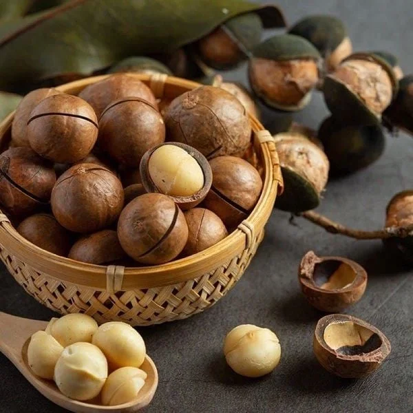 ROASTED MACADAMIA NUTS / DELICIOUSLY NUTTY and CRISP / MADE in VIETNAM