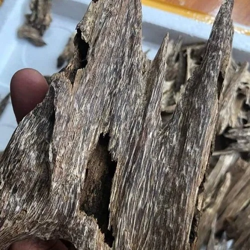 Натуральное и лучшее качество агарового дерева из Вьетнама-испытайте разницу!