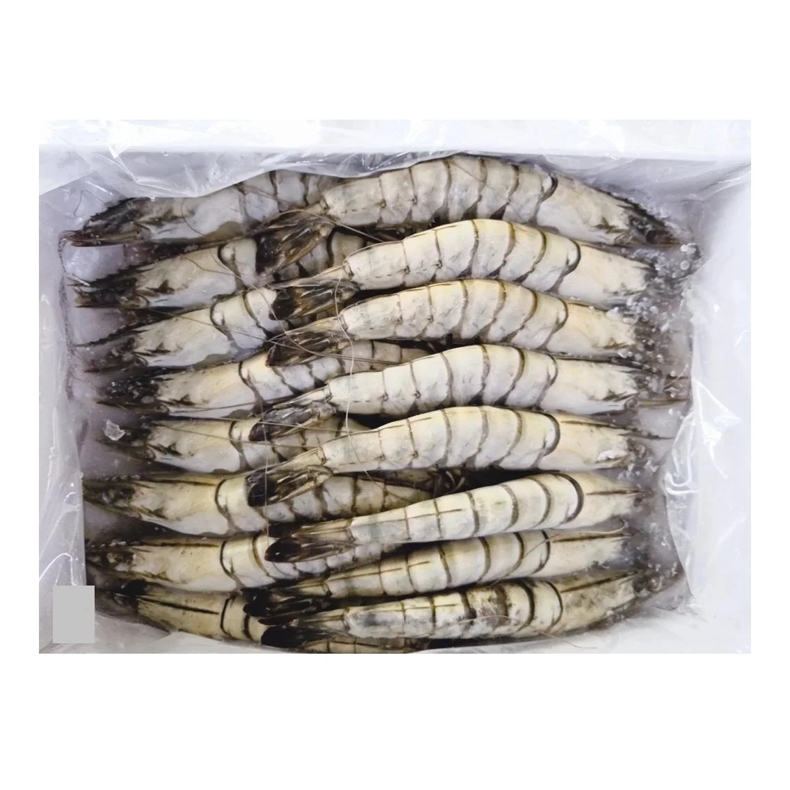 Креветки, Черные Тигровые креветки, замороженные красные креветки, сырые очищенные дикие креветки, охлажденные морепродукты