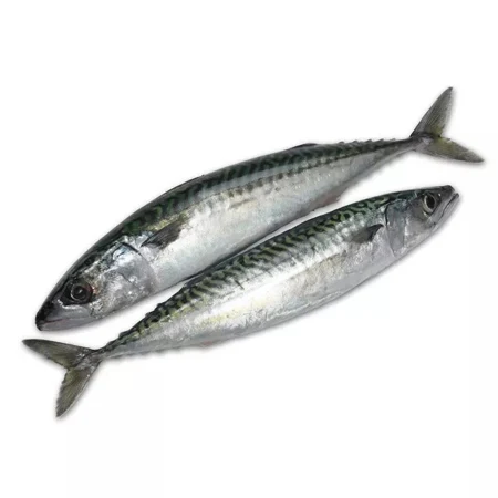 High Quality Seafood Whole Fish Horse Mackerel Frozen Pacific Mackerel Fish For Sale