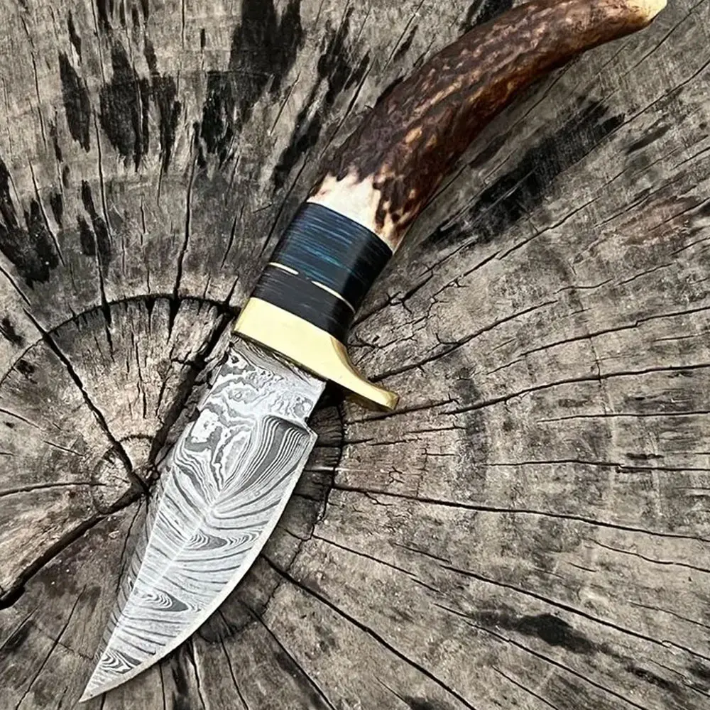 New Custom Handmade Damascus Steel Hunting Skinning Knife With Stag-Horn Handle for sale in bulk quantity