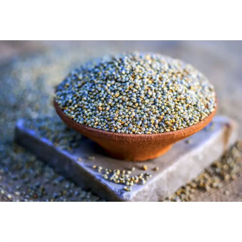 Natural green millet yellow millet bajra Indian origin feeds