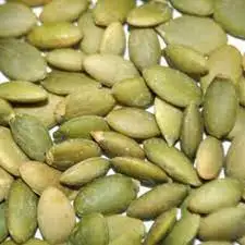Best Price Pumpkin Kernels ,Shine skin pumpkin seeds and kernels, GWS pumpkin seeds