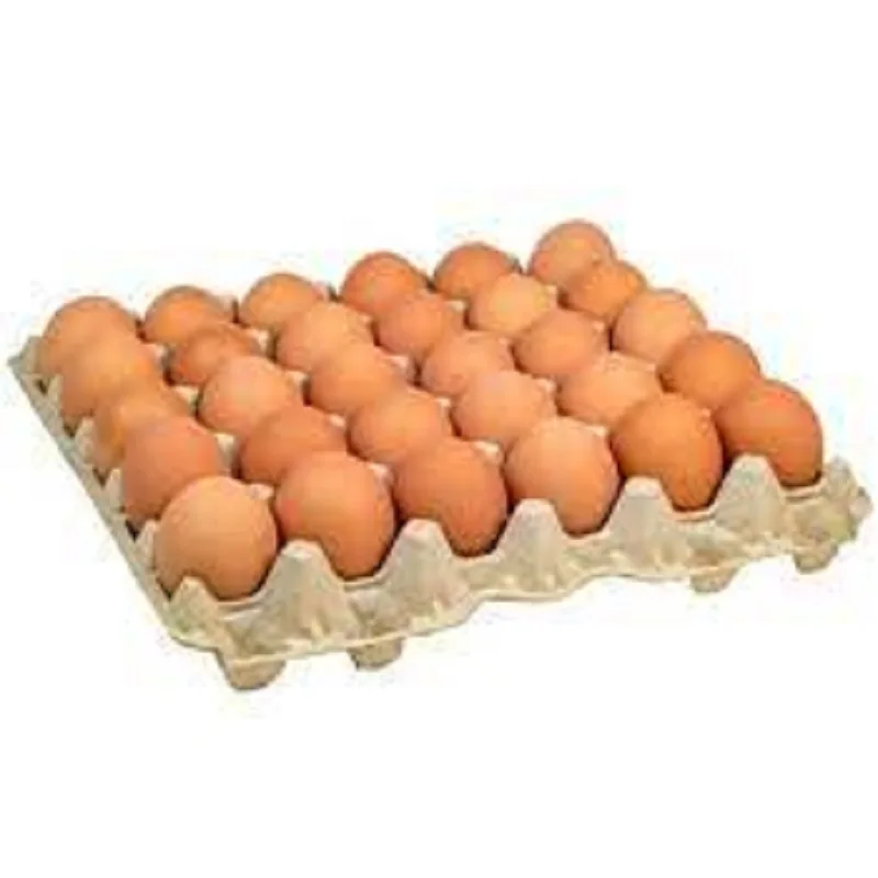 Свежие куриные яйца/Яйца круглого стола для продажи/плодородные инкубационные яйца