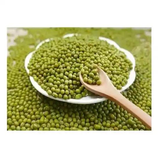 Round type Green Mung Bean for market / Vegetable Green Bean Price / mung beans use for sale