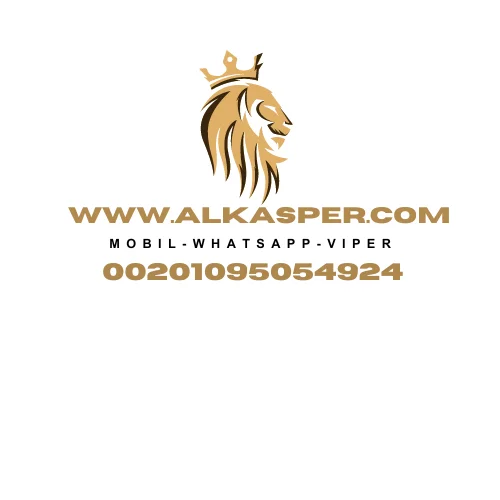 Fresh Navel Orange is now available for reservations wholesale (TOP QUALITY) Special Discount