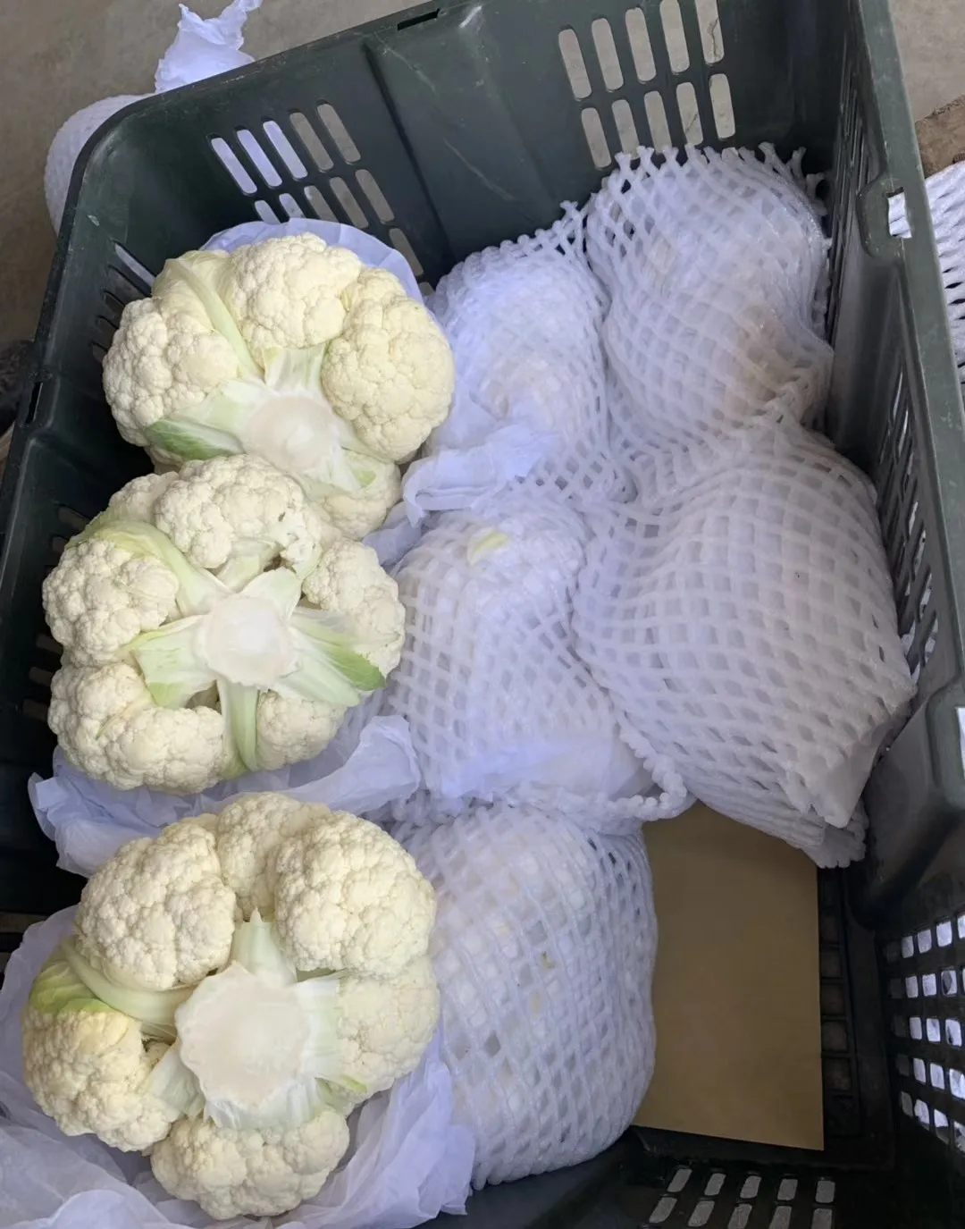 wholesale cauliflower price Fresh Cauliflower lower prices of white cauliflower