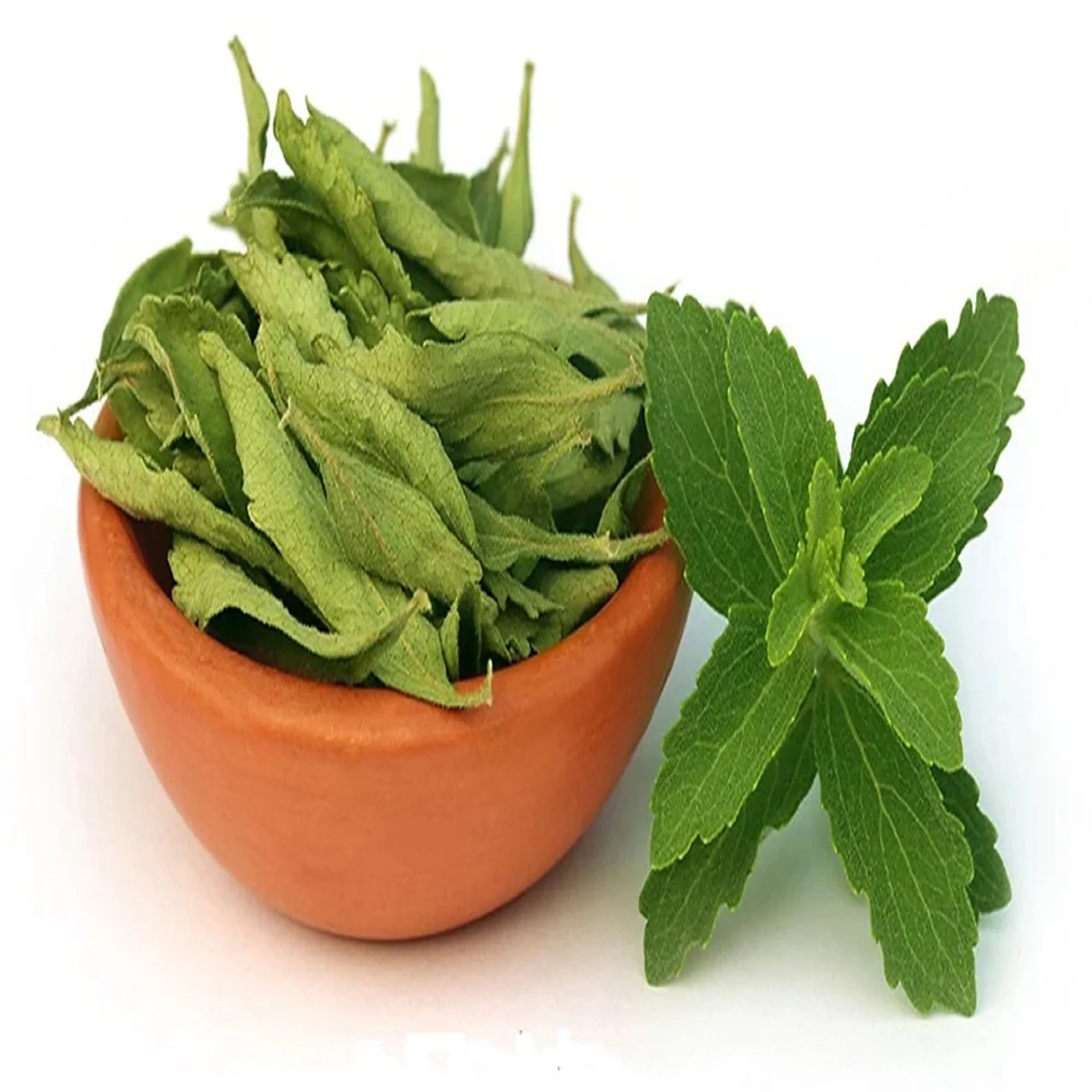 Wholesale Dried Stevia Leaf Bulk Leaves 100% Organic Indian Grade Stevia Leaves Supply