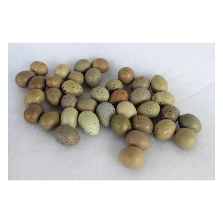 (500pcs) 24 Holes Quail Egg Containers Plastic Boxes D28mm Clear Plastic pvc 24 Cells Quail Egg Tray