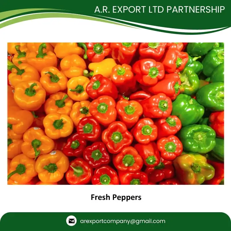 Exporting Highest Quality Wholesale Selling Fresh Bell Peppers for Genuine Wholesale Purchasers