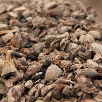 100% Purity Palm Kernel Shell (PKS)/Coconut Shell/Palm Kernel Shell