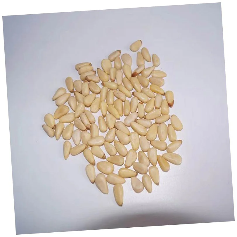 High Quality Low Price Organic Pine Nuts for Sale Top Grade Pine Nut Kernels Chilgoza Customized Raw