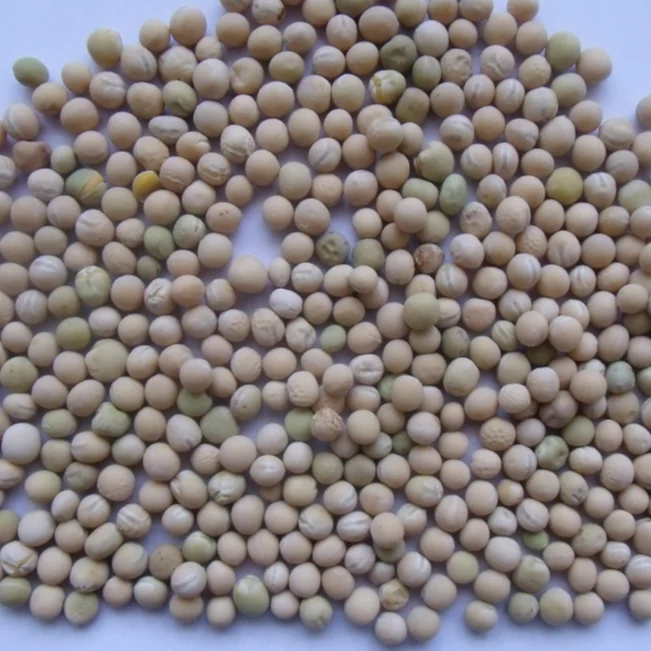 Natural Dried Yellow Split Peas Factory Price