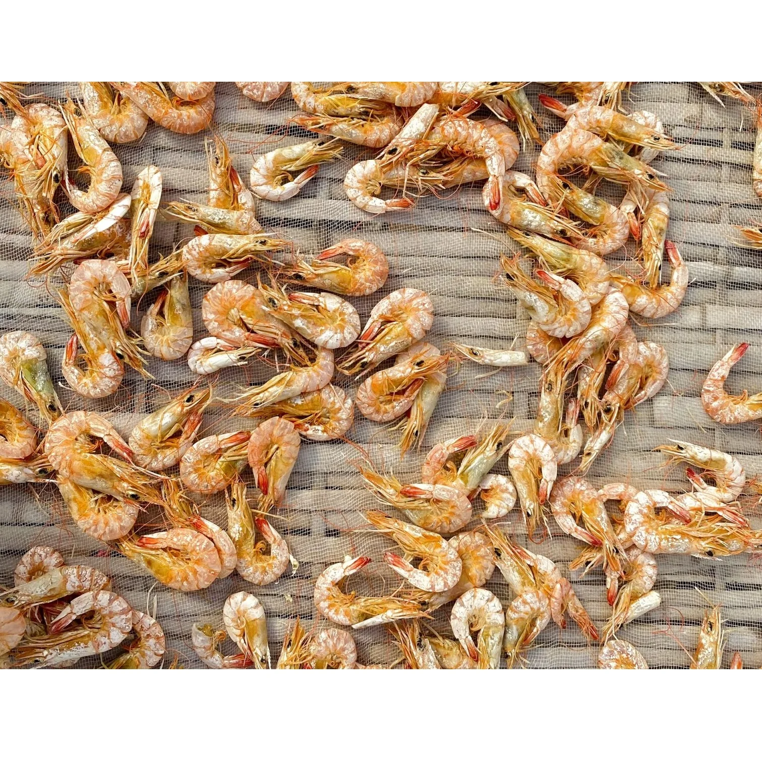 5 months Shelf Life Wholesale Best Price High Quality Vietnam Vacuum Pack Seafood Certificated Vietnam OEM Dried Shrimp