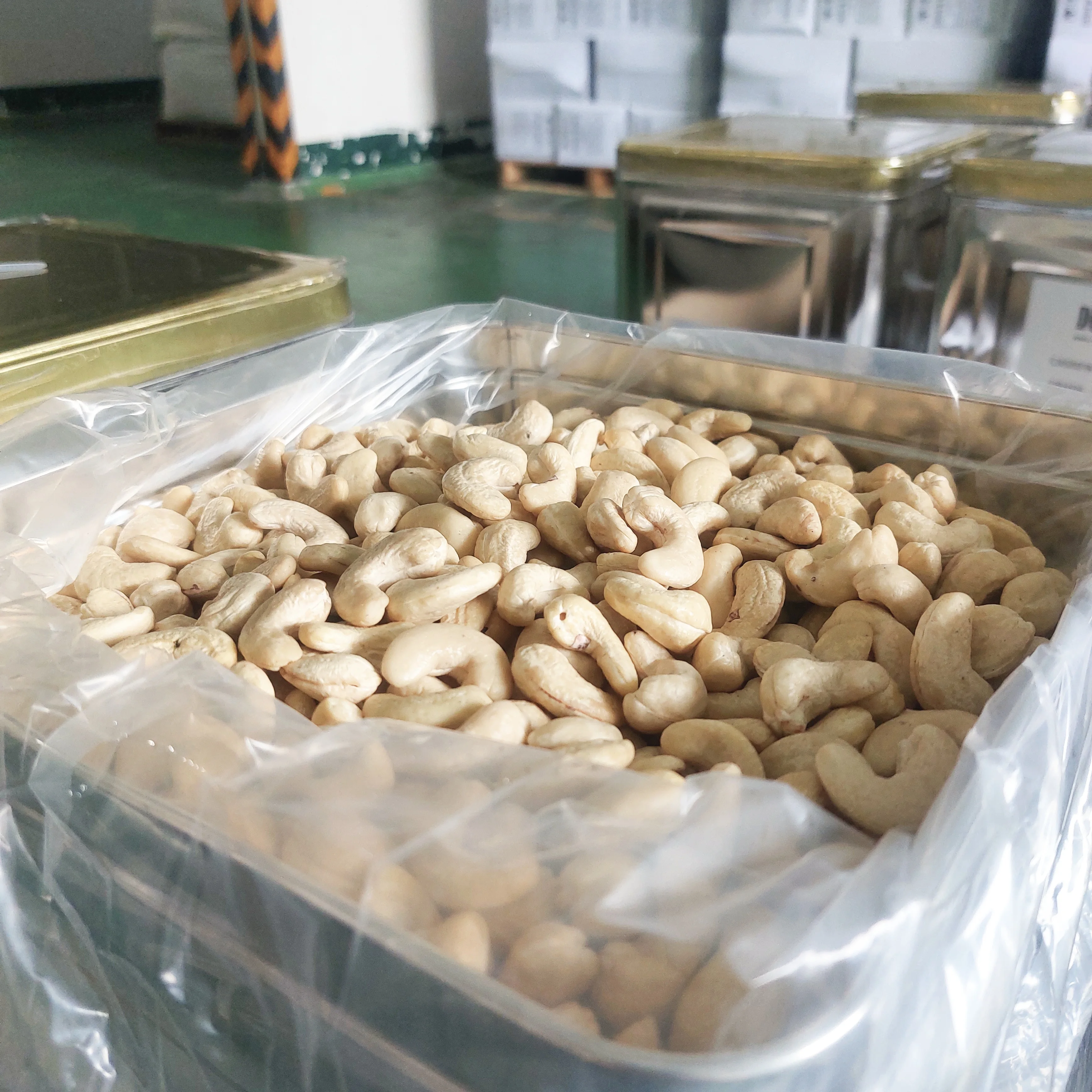 Hot Sale Organic Cashew Nuts W320 Factory Price Roasted Dried Processed Snack Nuts Certified AFI W180 W240 Models Available