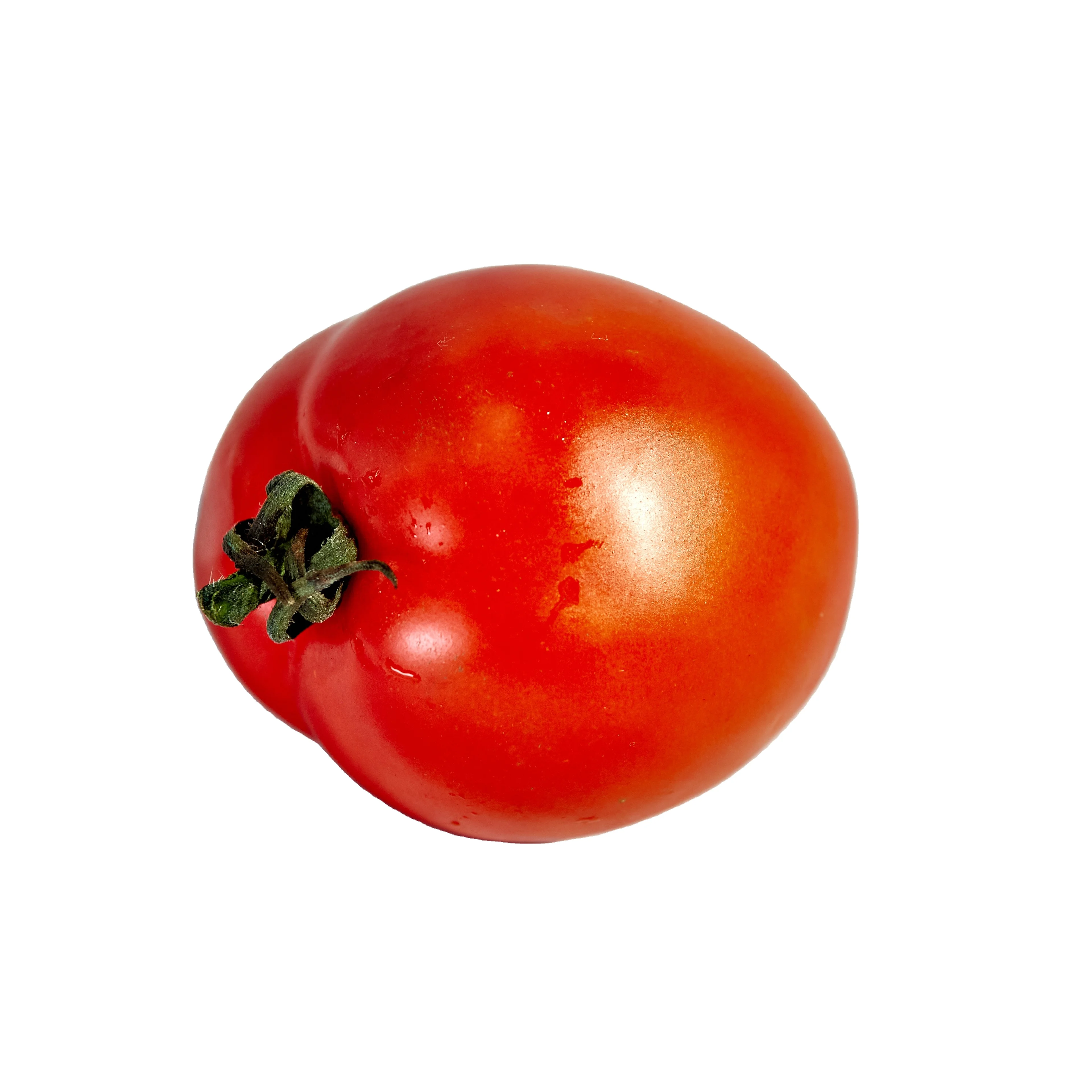 Fresh Vegetables Fresh Tomatoes Rita Tomatoes Beef Tomatoes  From Wholesale Green Farmer In Vietnam High Quality Nutrition Food