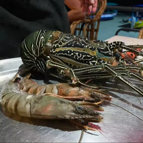 Premium Seafood Fresh and Frozen Lobster, Lobster Tails For Sale/Live Lobsters/live Spiny Lobsters