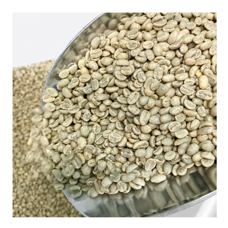 Factory Supply Premium Grade 100% Natural Green Coffee Beans Agricultural Products Wholesale Price Top Quality