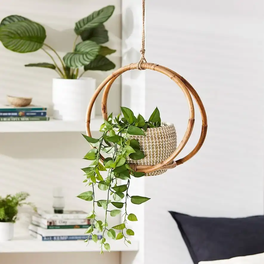 Eco friendly 100% biodegradable flower plant pot planter hanging baskets modern hanging planters