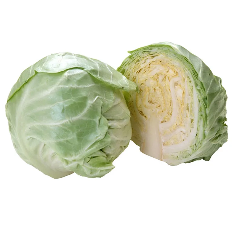 Hot Sale - Fresh Round Cabbage with high quality - High Quality Natural Cabbage