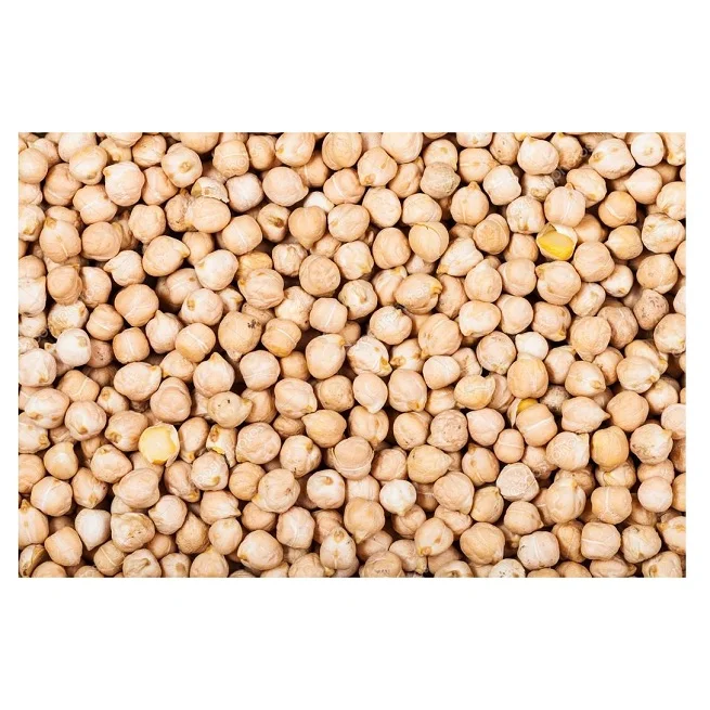Wholesale Supplier of Natural Quality Organic Dried Chickpeas Bulk Quantity Ready For Export