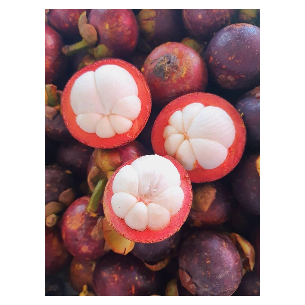 Высококачественный свежий мангостин из Таиланда 100% натуральный высококачественный свежий мангостин с лучшим вкусом