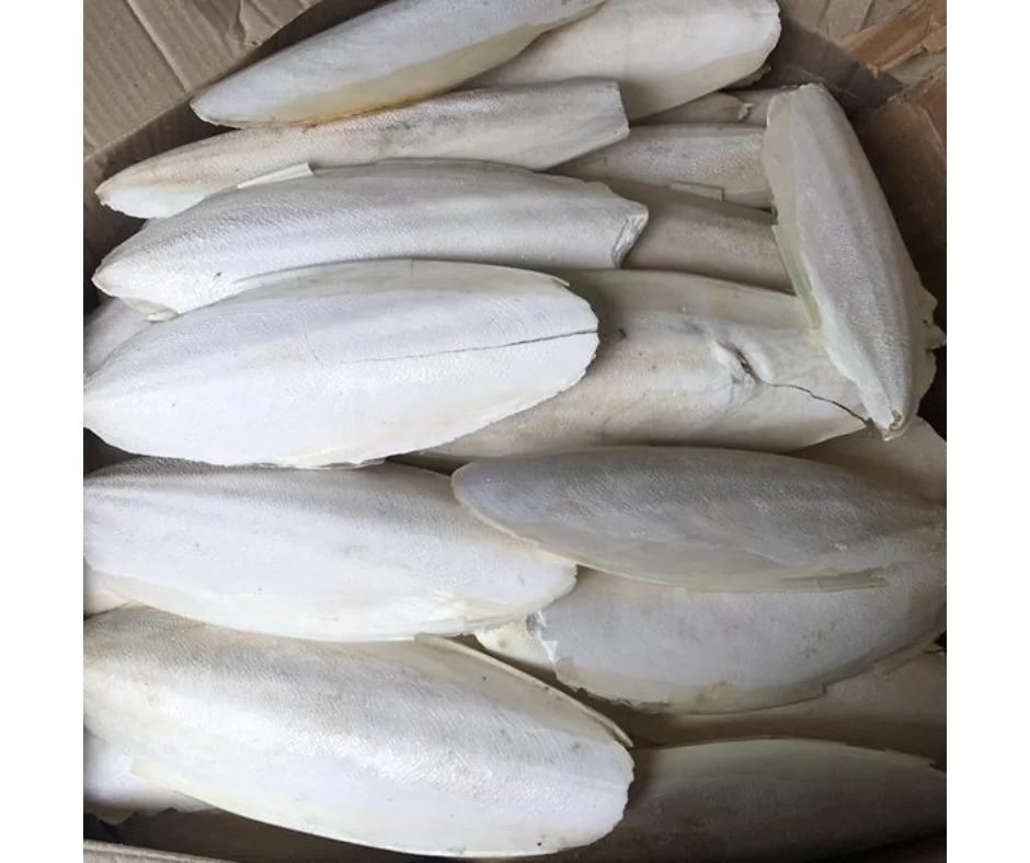 VIETDELTA Organic Whole Cuttlefish Bones High Quality Dried and Frozen with Vitamins Best Price from Vietnam