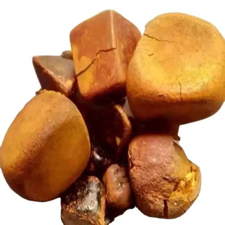 Sell Gallstones COW Gallbladder Stones For Medicine OX Gallstone Supply High Quality Natural Gallstones