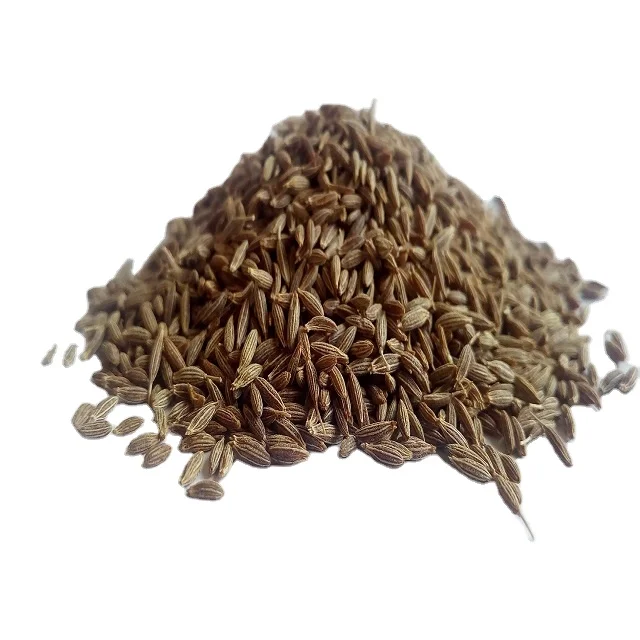 Wholesale Dried White Cumin Seed Food Seasoning Hot Pot Dip Cumin Seeds Bulk 25 kg Package
