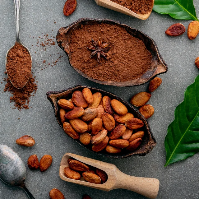 High Quality Grounded Cocoa Powder Turkish Wholesale Alkalized Cocoa Powder Dark Brown Bulk Alkalized Cocoa Powder  2022