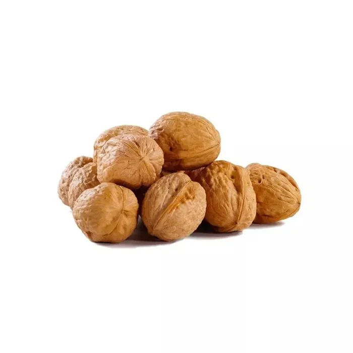 Wholesale Supplier Best Quality Walnuts For Sale In Cheap Price