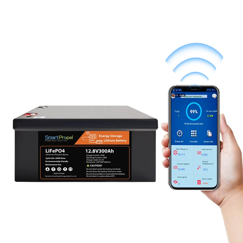 Высококачественный перезаряжаемый литий-ионный аккумулятор для хранения 12 в 300 Ач LiFePO4 100 150 200 ач В