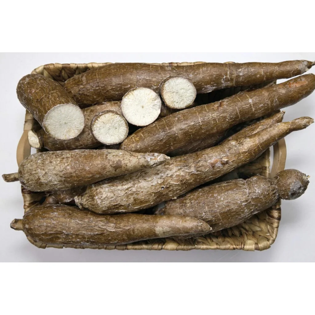 High Quality Fresh Yuca Root (Cassava) / Fresh Vegetables Cassava At Cheap Price worldwide Exports