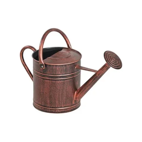 Metal Galvanized Mini Watering Can for Succulents Plants for Indoor and Outdoor water can garden