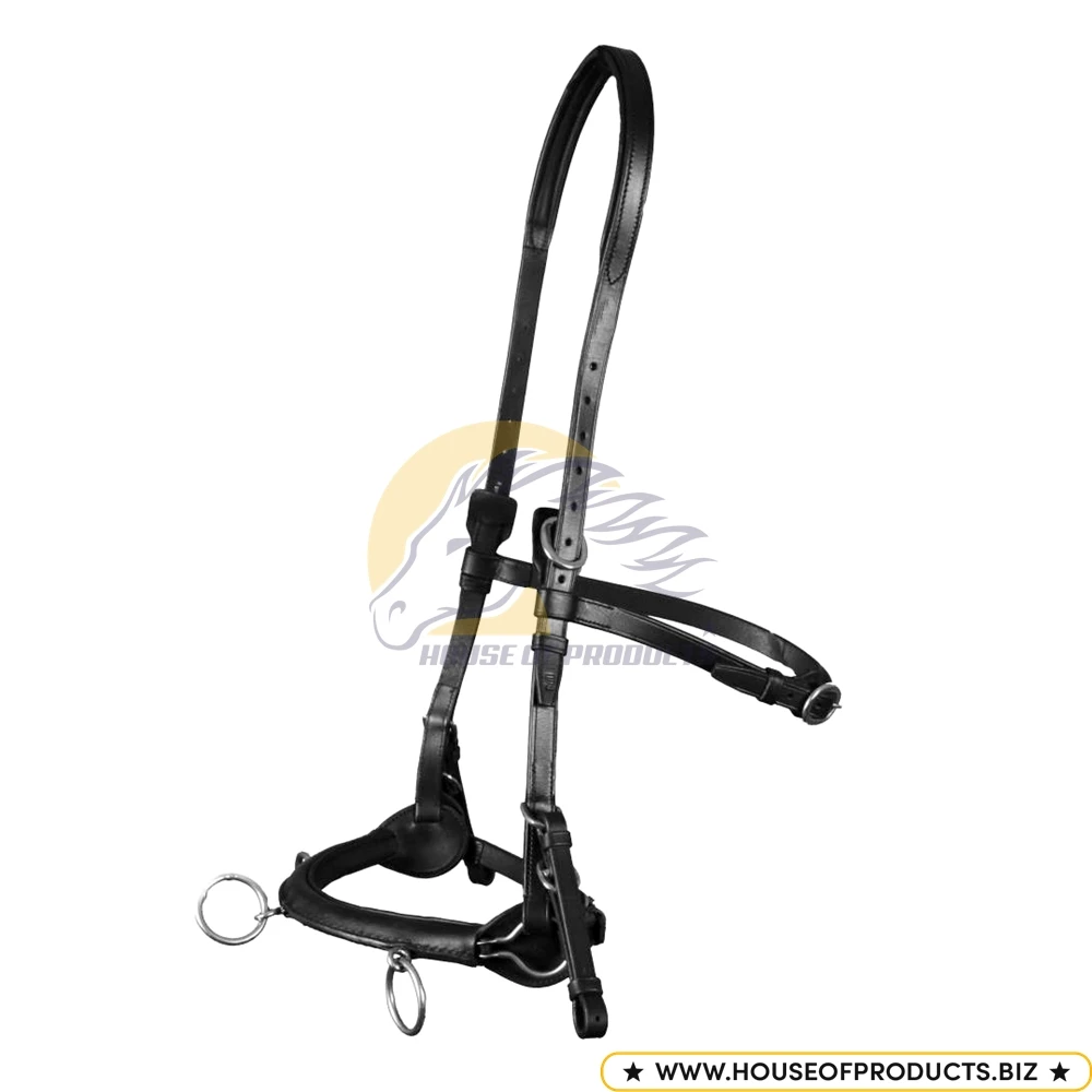 Bitless Longeing Cavesson / Semi Cavesson / Cavesson Chains Longeing Cavesson Black