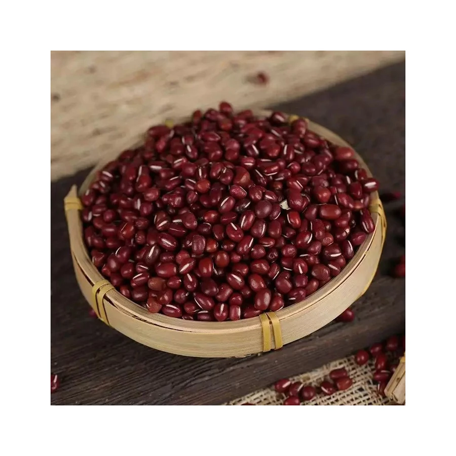 Dark Red Kidney Beans Long Shape for Sale Wholesale Dried