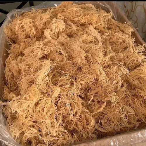 Packed in 10kg Zip Paper Bags - DRIED SEAMOSS