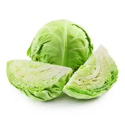 White Cabbage Fresh Nutrients Cabbage Vegetable Wholesales Price For Fresh Vegetable Cabbage