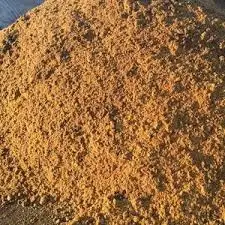 Meat and Bone .9.jpg