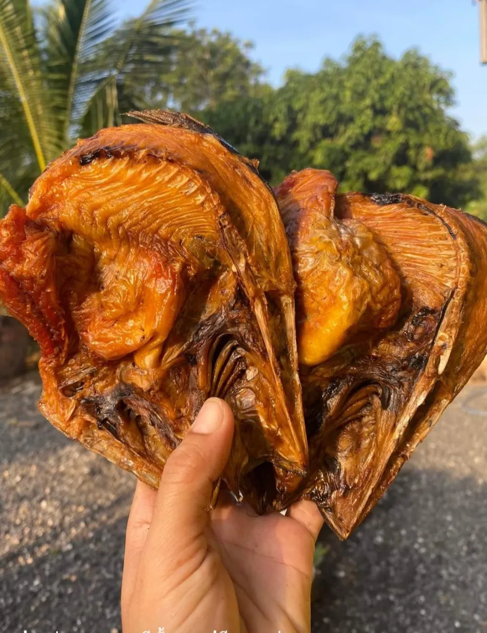 Big Size Smoked  Dried Fish High Omega-3 High Quality Product  Can Use For Cooking 500g./Bag