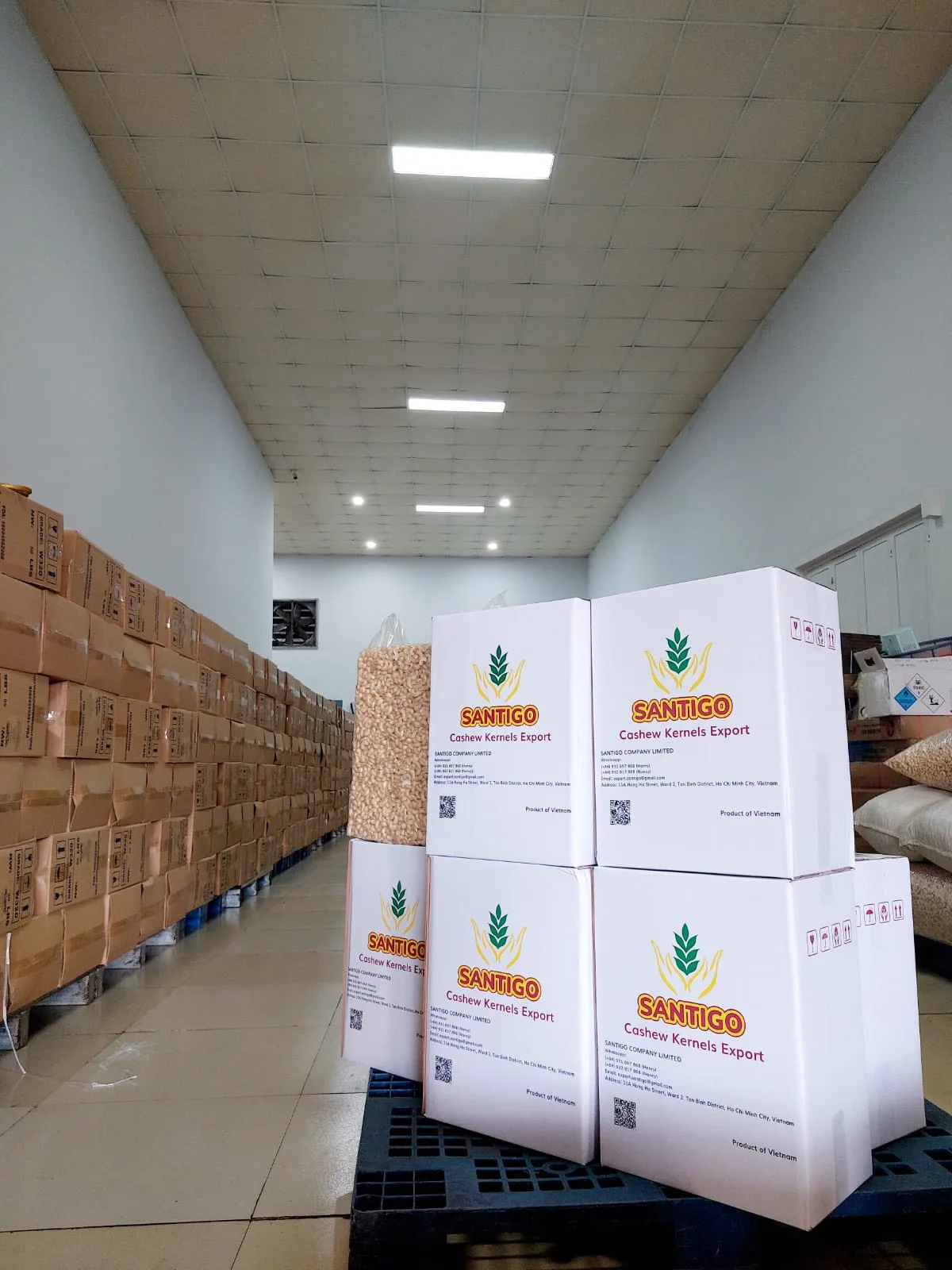 Hot Sale Vietnam Cashew Nut Raw Cashew Nuts Cashew Nuts W320, W240, W180, SK, LP2, LWP Reasonable Price