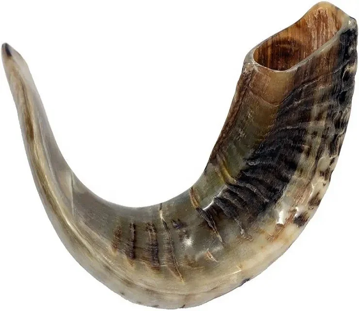 Shofar Ram Horn Kosher Jewish Blowing Horn Natural