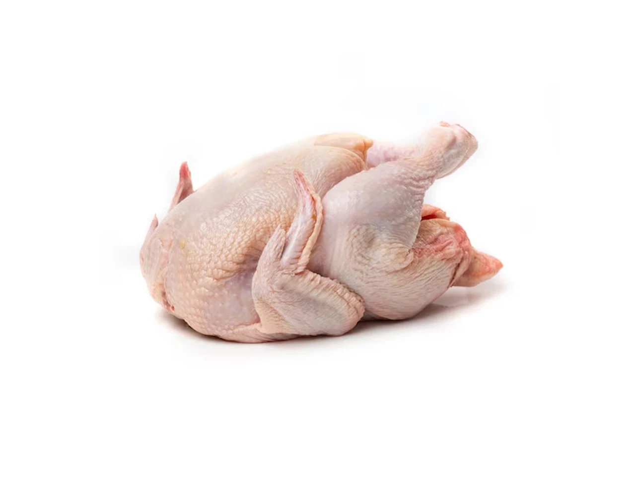 Best Quality Healthy and Natural Whole Chicken Halal Frozen Whole Chicken From Poultry Meat Chicken